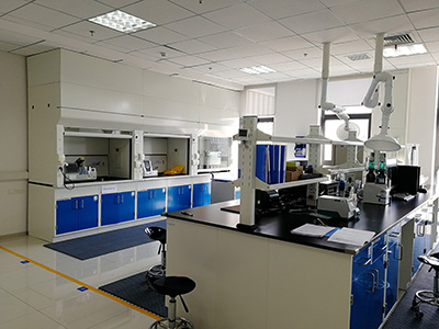 Case Studies