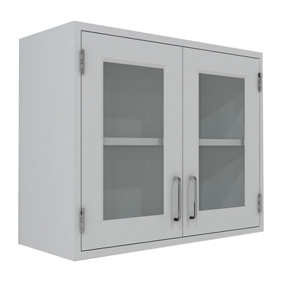 Laboratory Wall Cabinet