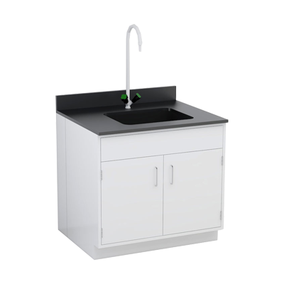 Laboratory Sink Station