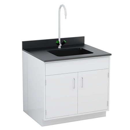 Laboratory Sink Station